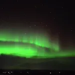 Arctica