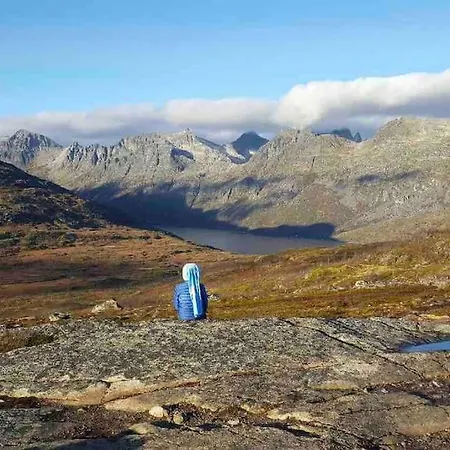 Arctica
