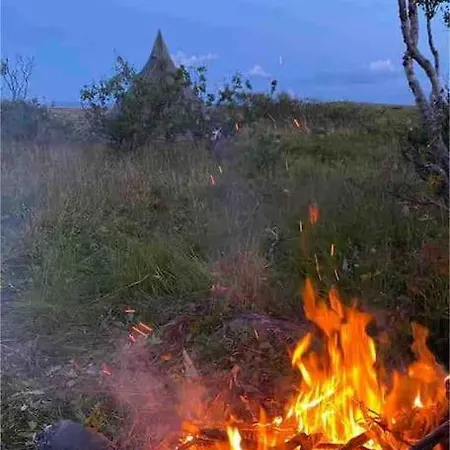 Arctica Тромсё