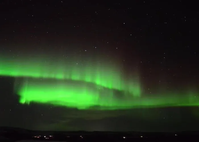 Arctica