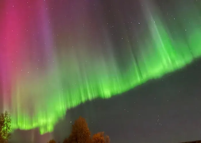 Semesterbostad Arctica