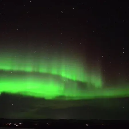 Arctica